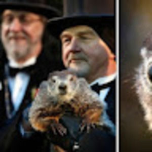 Meet your Posher, Jeff